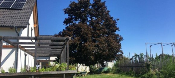 12 rooms House in Gussing, Austria No. 191051 11