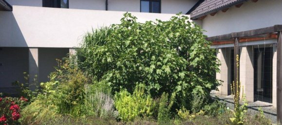 12 rooms House in Gussing, Austria No. 191051 8