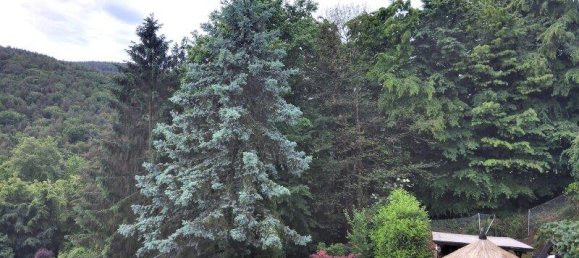 Дом с 4 комнатами в Форхтенштайн, Австрия № 173391 11