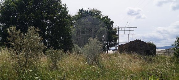  عقار تجاري في Tondela, Portugal 9800متر مربع رقم 39419 3