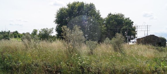  عقار تجاري في Tondela, Portugal 9800متر مربع رقم 39419 5