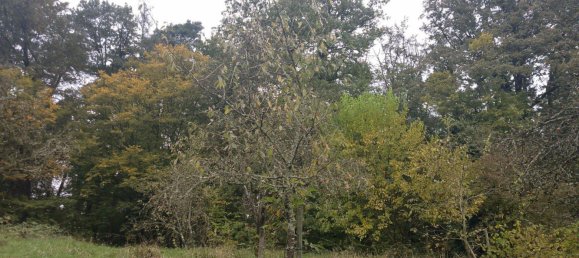 Terreno en Rems-Murr-Kreis, Germany No. 346621 4