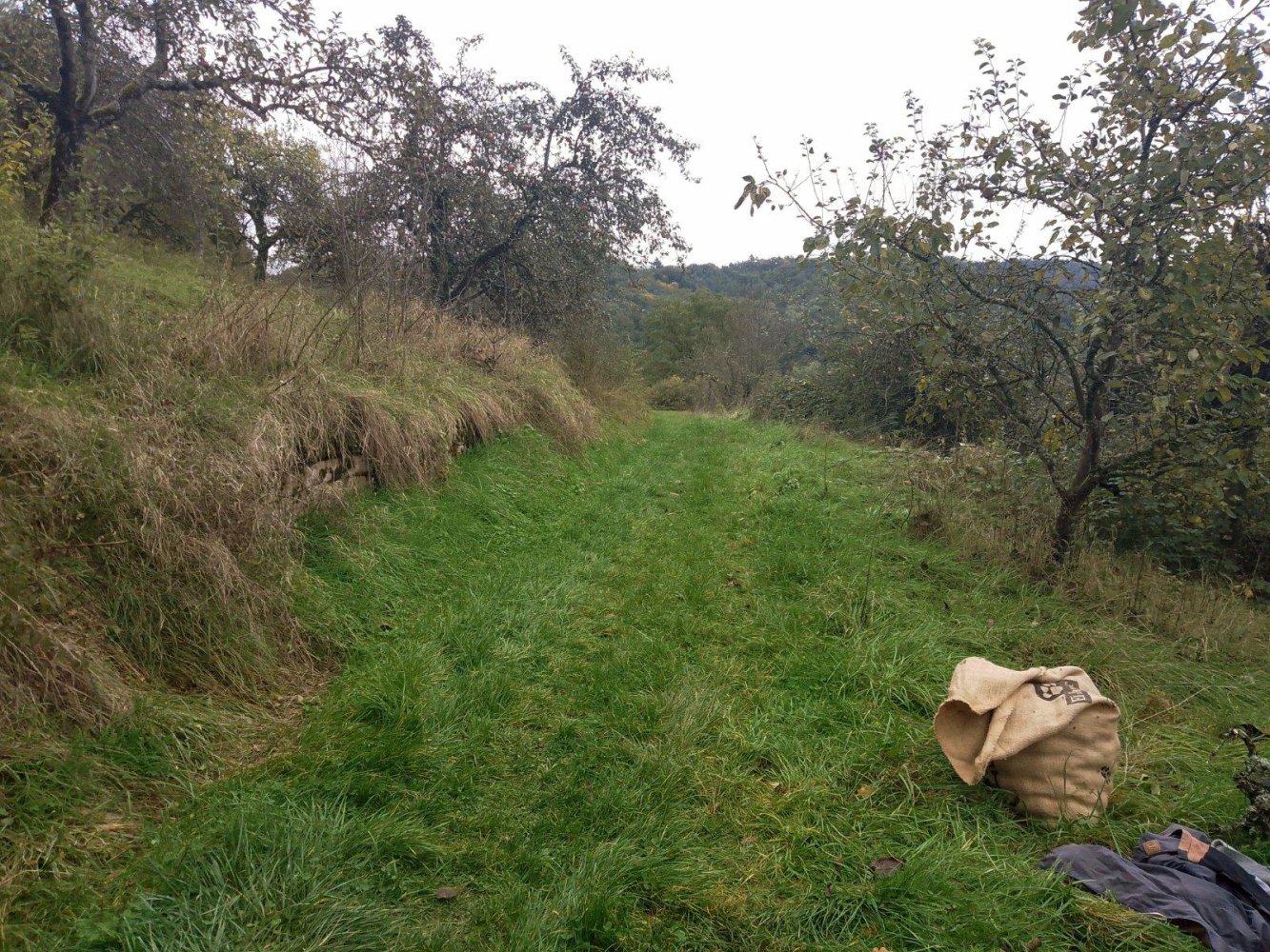 Terreno en Rems-Murr-Kreis, Germany No. 346621