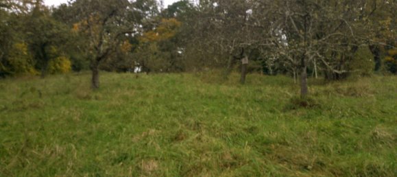 Terreno en Rems-Murr-Kreis, Germany No. 346621 3