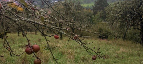 Terreno en Rems-Murr-Kreis, Germany No. 346621 7