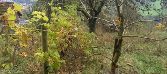 Terreno en Rems-Murr-Kreis, Germany No. 346621 9