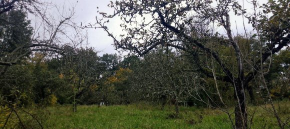 Terreno en Rems-Murr-Kreis, Germany No. 346621 2