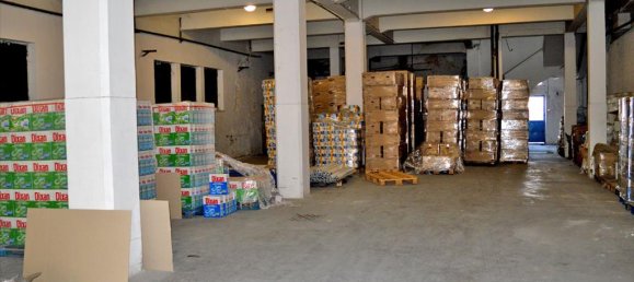 Property in Athens, Greece 7700m², Nr. 6909 4