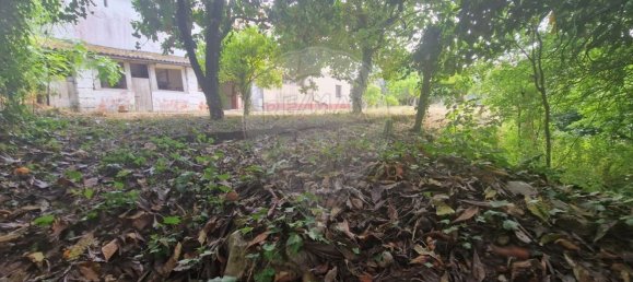 5 bedrooms House in Redinha, Portugal No. 28904 22