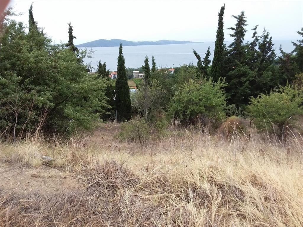 Hotel en Chalkidiki, Greece 13000 m² No. 56503