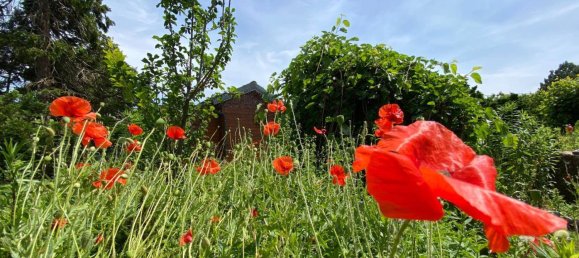 Casa de 6 dormitorios en Leopoldsdorf, Austria No. 140323 19