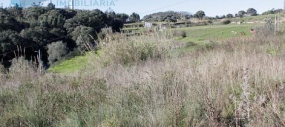 Terreno em Torres Vedras, Portugal 1000 m² N.º 148446 2