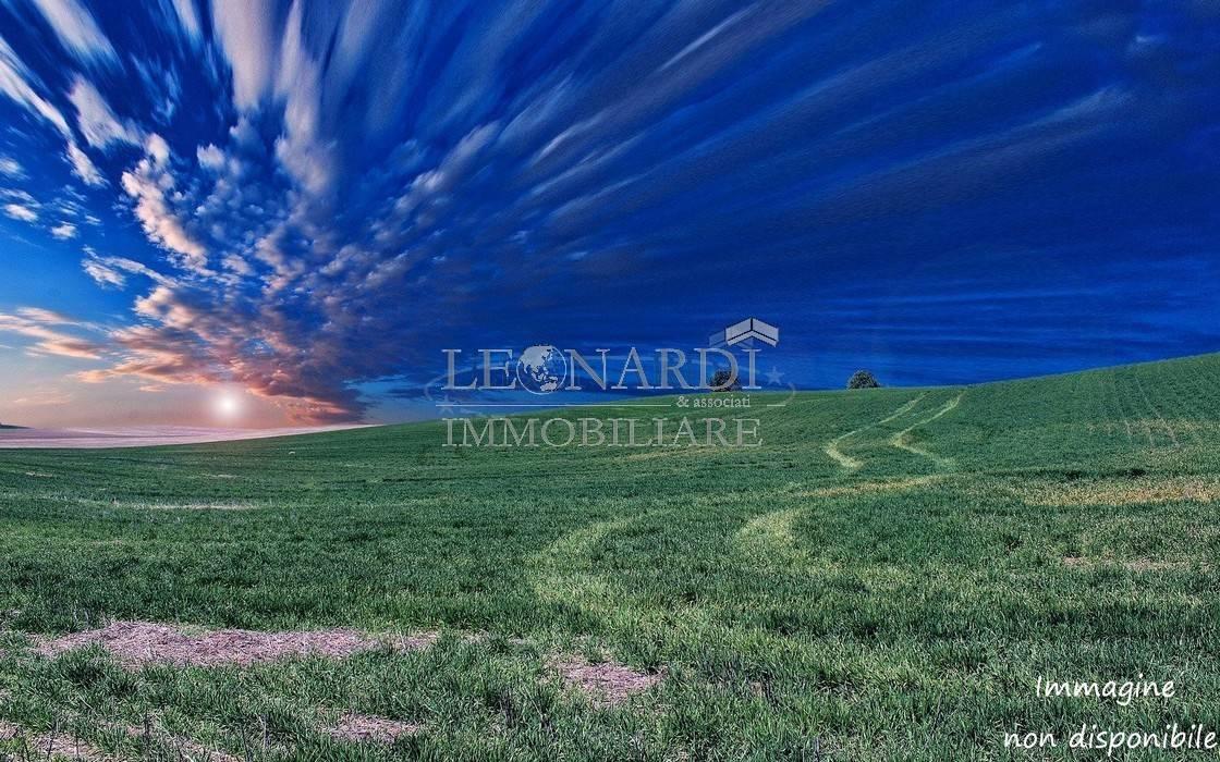  Land in Anghiari, Italy No. 40078