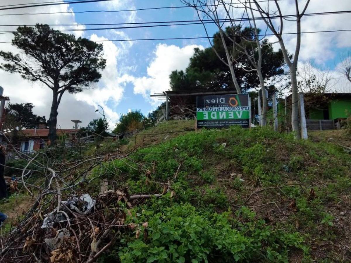  Land in Mar del Plata, Argentina No. 116054