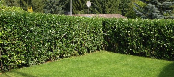 6 rooms Townhouse in Main-Taunus, Germany No. 142304 16