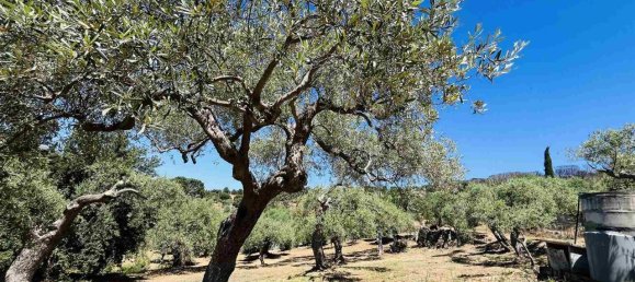 6-Zimmer Villa in Lascari, Italy, Nr. 165290 5