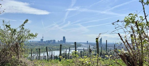 Квартира с 4 комнатами в Дёблинг, Австрия № 195460 17