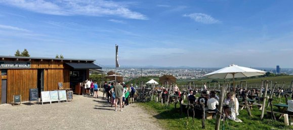 Квартира с 4 комнатами в Дёблинг, Австрия № 195460 13