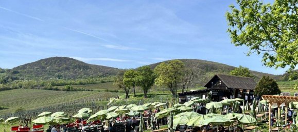 Квартира с 4 комнатами в Дёблинг, Австрия № 195460 14