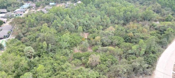  Commercial property in Pattaya, Thailand No. 19477 2