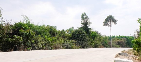  Commercial property in Pattaya, Thailand No. 19477 6