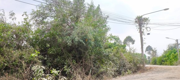  Commercial property in Pattaya, Thailand No. 19477 5