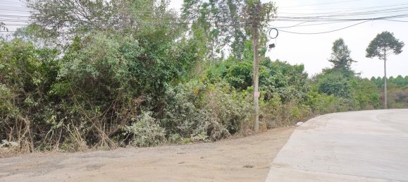  Commercial property in Pattaya, Thailand No. 19477 4