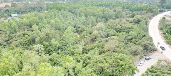  Commercial property in Pattaya, Thailand No. 19477 3