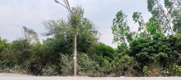  Commercial property in Pattaya, Thailand No. 19477 8