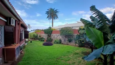 3 bedrooms House in Puerto de la Cruz, Spain No. 34985