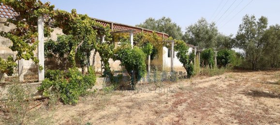 Дом с 3 спальнями в Авейраш де Байшу, Португалия № 89608 34