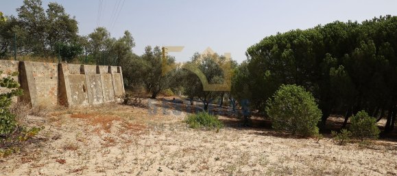 Дом с 3 спальнями в Авейраш де Байшу, Португалия № 89608 35