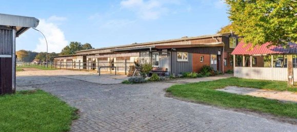 Дом с 12 комнатами в Варендорф, Германия № 220060 13