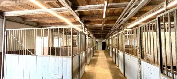 Дом с 12 комнатами в Варендорф, Германия № 220060 15