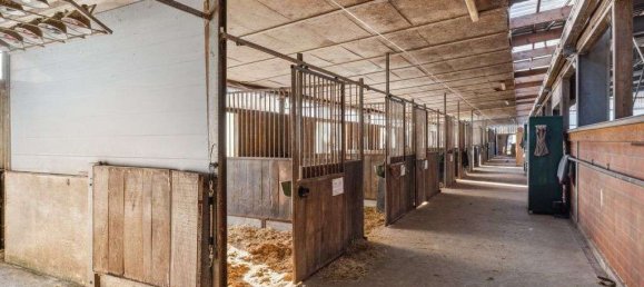 Дом с 12 комнатами в Варендорф, Германия № 220060 14