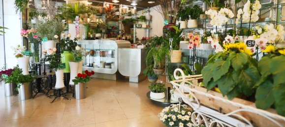 Вилла с 5 спальнями в Монтрёй, Франция № 176186 8