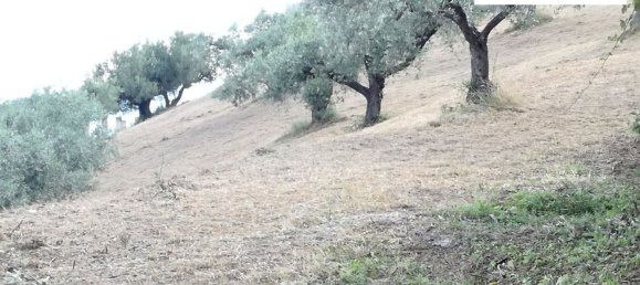 Grundstück in Silvi, Italy 2120m², Nr. 118731 5