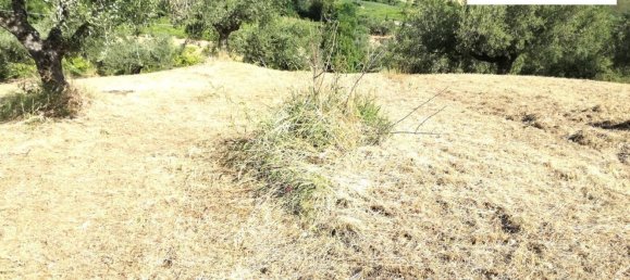 Grundstück in Silvi, Italy 2120m², Nr. 118731 25