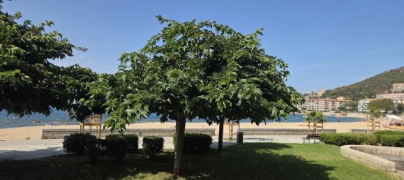 Apartamento T2 em Ajaccio, France N.º 240525 2