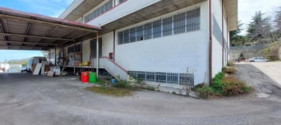 Entrepôt à Acquaviva Picena, Italy 2311m² No. 369895 9