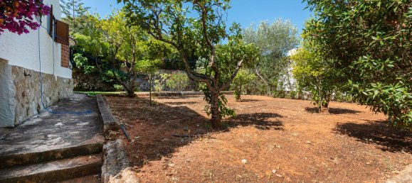 6 chambres Maison à Alicante, Spain No. 163754 4