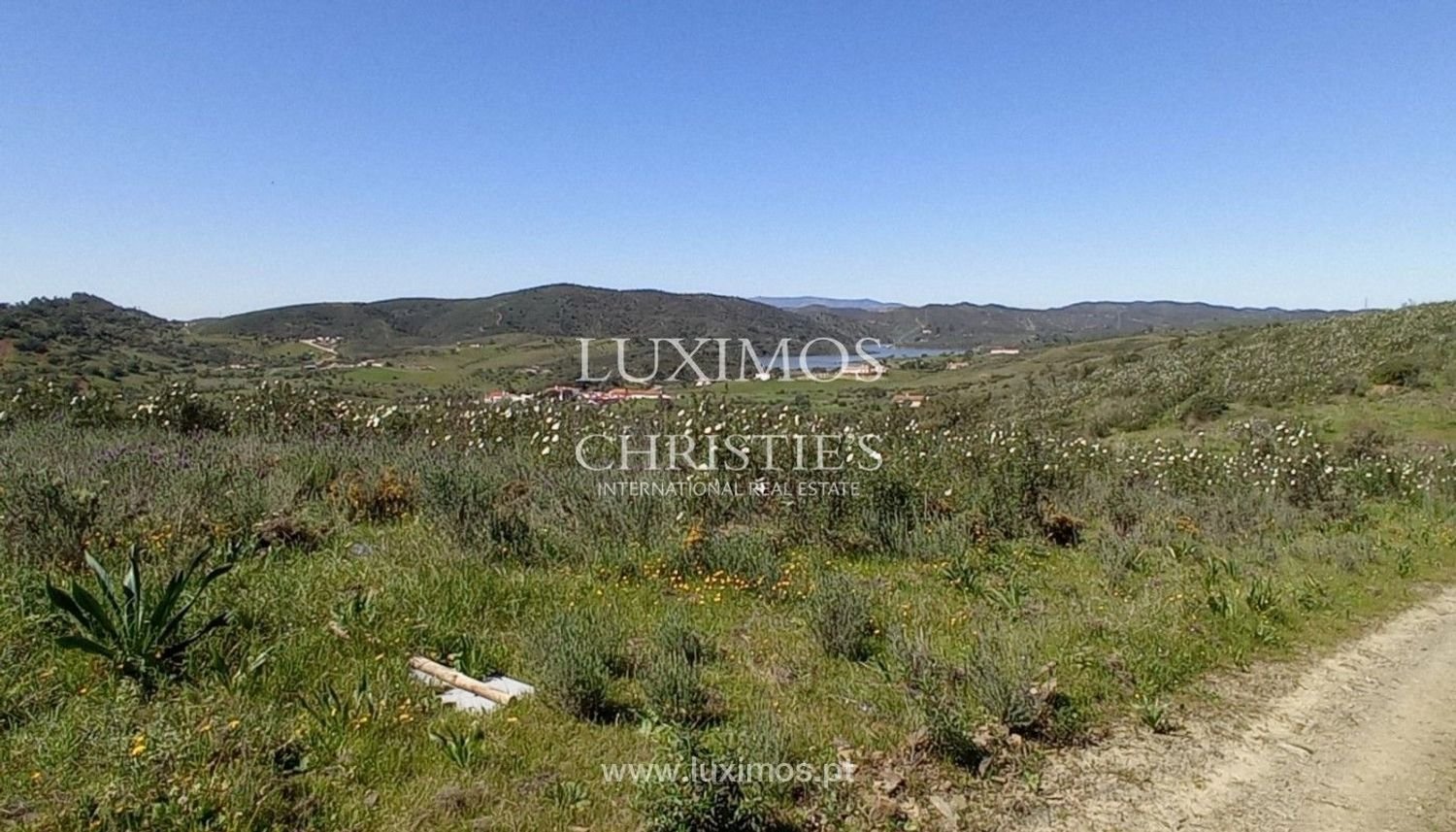 Terrain à Sao Bartolomeu de Messines, Portugal 803240m² No. 10244