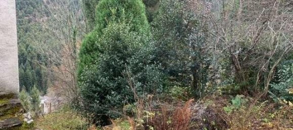 Casa de 3 divisões em Vanzone con San Carlo, Italy N.º 109678 5