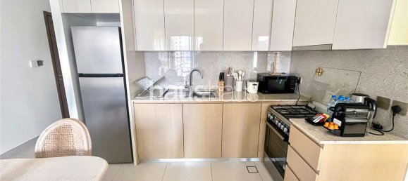 Apartamento T1 em Downtown Dubai (Downtown Burj Dubai), UAE N.º 100213 8