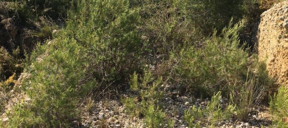  قطعة أرض في Cubelles, Spain رقم 74800 3