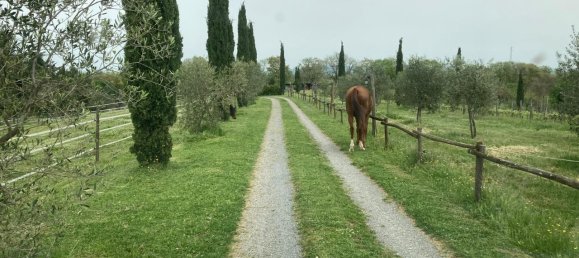 12 rooms House in Orvieto, Italy No. 141902 4