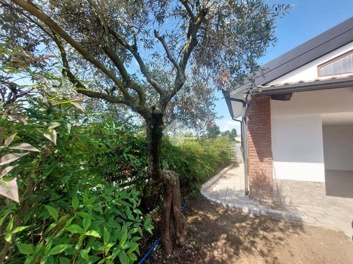 3 bedrooms Villa in Sandrigo, Italy No. 259606