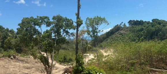  Commercial property in Surat Thani, Thailand No. 24512 5