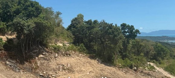  Commercial property in Surat Thani, Thailand No. 24512 3