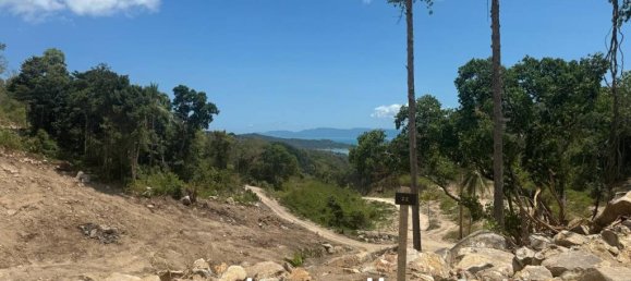  Commercial property in Surat Thani, Thailand No. 24512 2